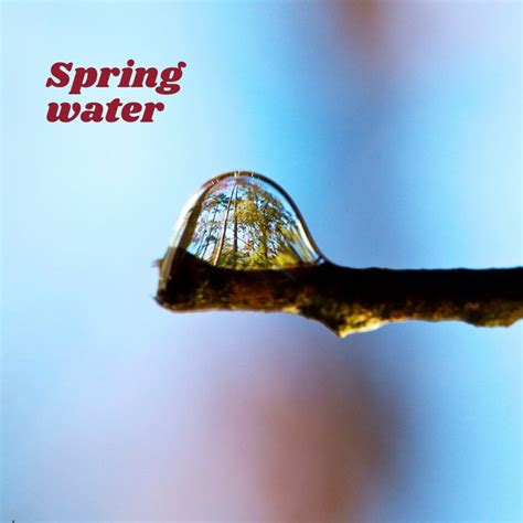Image result for Water Cycle Spring