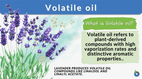 Volatile oil - Definition and Examples - Biology Online Dictionary