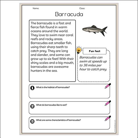 Barracuda | Reading Passage Comprehension Questions Writing Facts Work ...