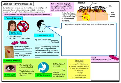 Image result for Free Science Lessons Communicable Diseases