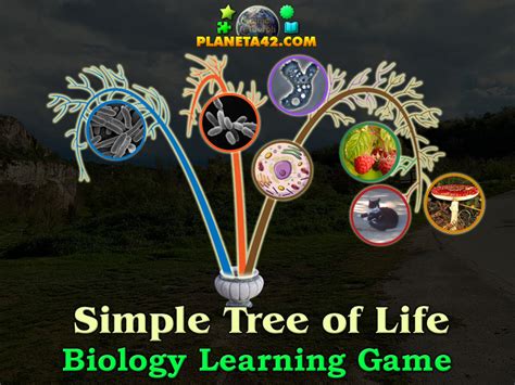 Tree of Life 的图像结果