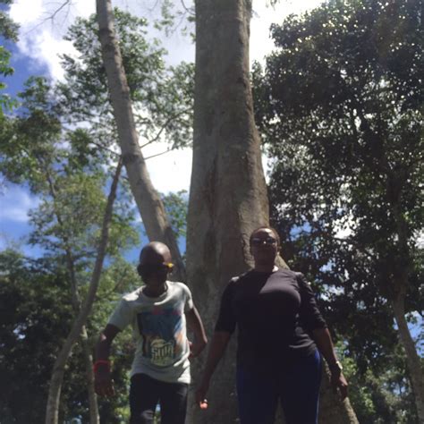 THE 5 BEST Places to Visit in Kalangala (2026) - Must-See Attractions