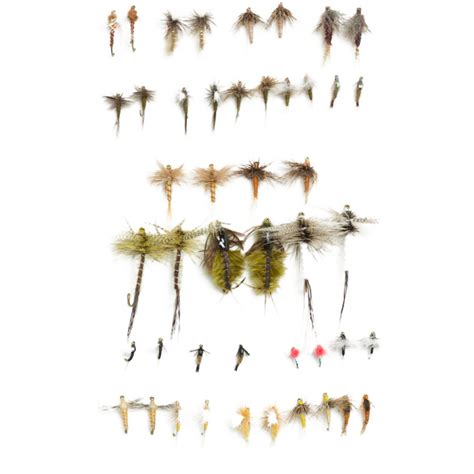 Image result for PMD Fly Pattern