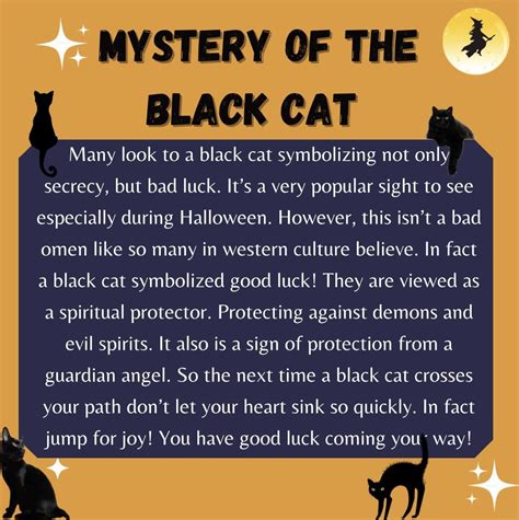 Black Cat symbolism 🐈‍⬛ | Black cat good luck, Cat symbolism, Black cat ...
