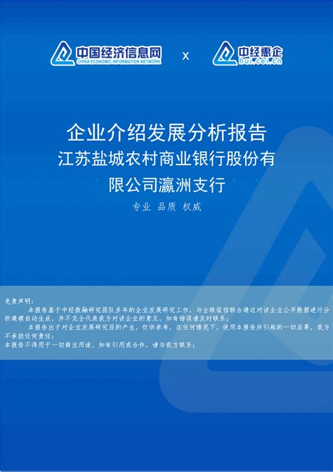 江苏盐城农村商业银行股份有限公司盐都区支行介绍企业发展分析报告...Word模板下载_编号lwaezpkw_熊猫办公