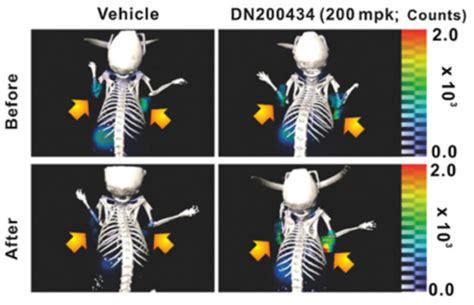 Next-Generation Molecular Imaging of Thyroid Cancer