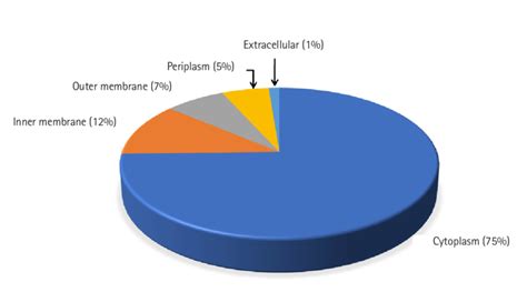 Dynamic Cellular Localization Chart 的图像结果
