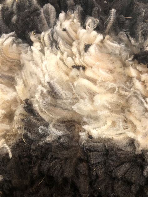 Merino Raw Fleece - Etsy