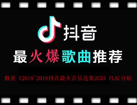 2019最火歌曲排行榜_抖音热门歌曲排行榜 2019年抖音最火的歌曲排行榜(3)_中国排行网