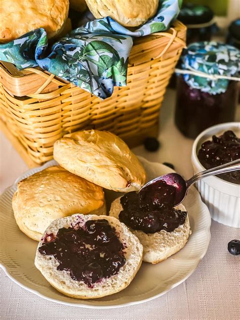 Blueberry Chia Seed Jam - Veggie Fun Kitchen