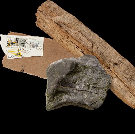 Communication Strategy Development Process 的图像结果