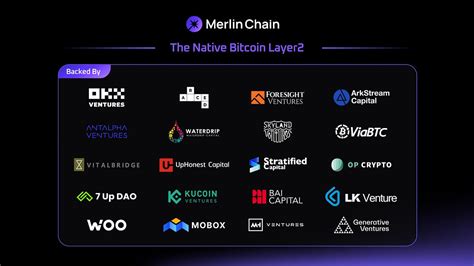 Image result for Merlin Chain Banner