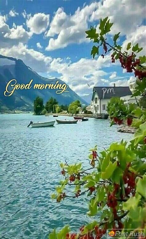 Good Morning Busy 的图像结果