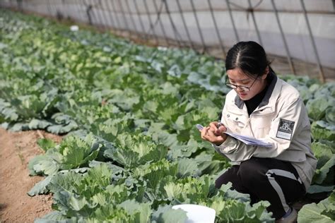 河北邢台返乡大学生乐做“新农人”_腾讯新闻