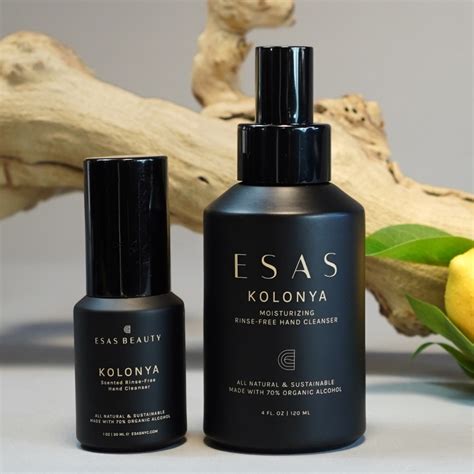 Rezultat imagine pentru Esas Program