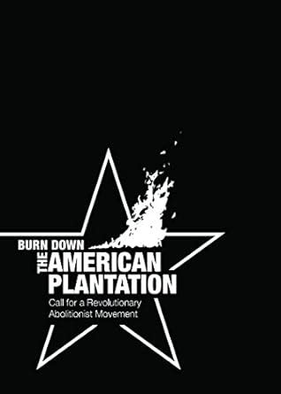 Burn Down the American Plantation: Call for a Revolutionary ...