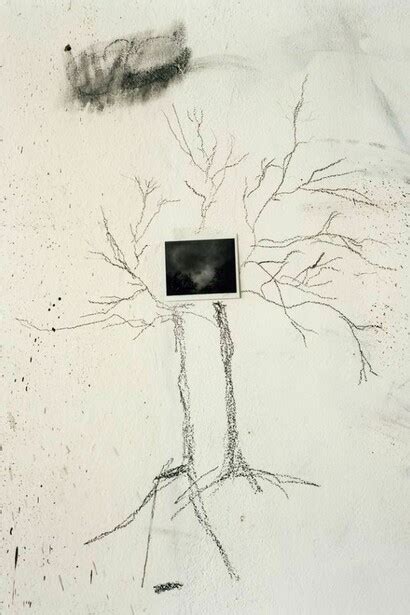 Saul Fletcher | Meer