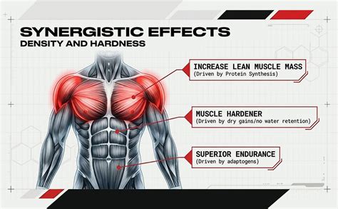 BULLPHARM Androbol Muscle Building Supplement for Men