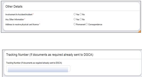 How to apply for CPL on eGCA?