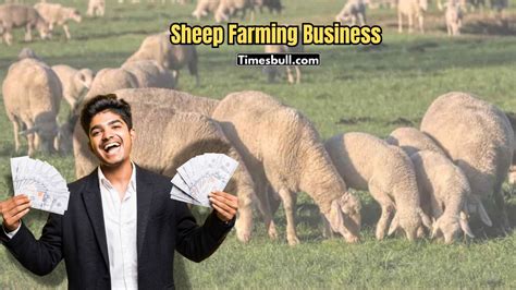 Sheep Farming Business: Start Rearing These Top 3 Breeds and Earn Lakhs ...
