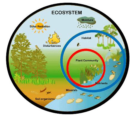 Class 7 Social Science Chapter 1 Important Question Answers - Environment