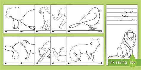 Animal Outline Templates - Animal Outlines For Kids - Twinkl