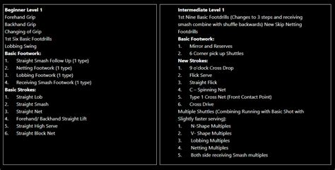 Badminton Training Program Example 的图像结果