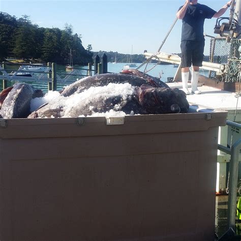 THE BEACH HOUSE AT WAIWERA (Auckland, New Zealand) - Villa Reviews ...