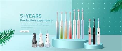 Company Overview - Shaanxi Li Zhen Ming sheng industry co., ltd