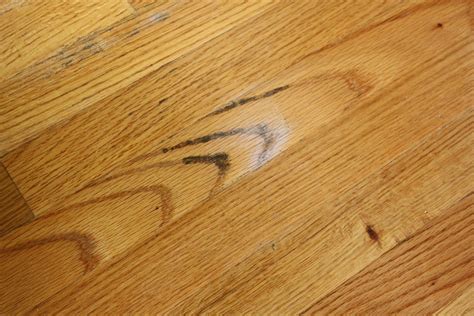 Mold On Hardwood Floor: Causes, Prevention, And Removal - Flooring Designs