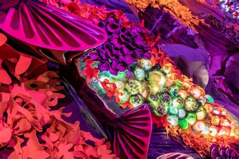 Image result for Meow Wolf Patterns