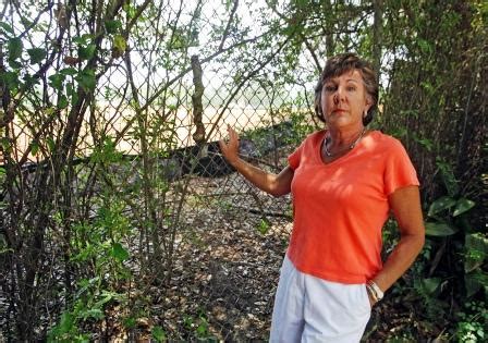 Regency Oaks residents battling St. Luke's ballfields - al.com