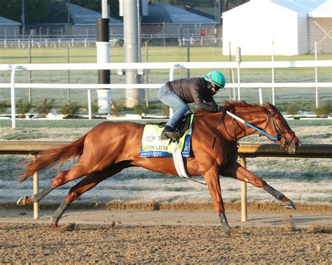 Disarm – Kentucky Derby Context | TwinSpires