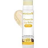 Buy WishCare Tinted Lip Balm with SPF 50 PA+++ | Brightening Lip Balm ...