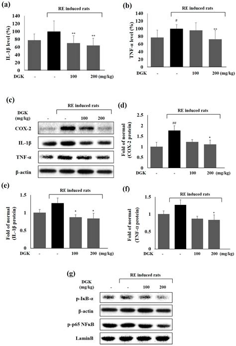 Dichloromethane Extracts of Geranium Koreanum Kom. Alleviates Esophagus ...