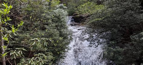 Sea Creek Falls, Georgia - 251 Reviews, Map | AllTrails
