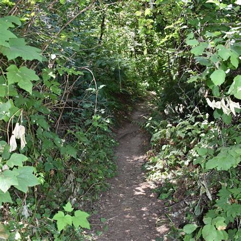 BAKER BAY PARK (Dorena) - Campground Reviews & Photos - Tripadvisor