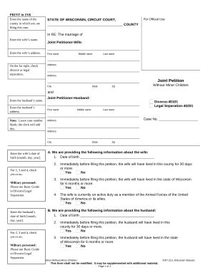 petition without children Doc Template | pdfFiller