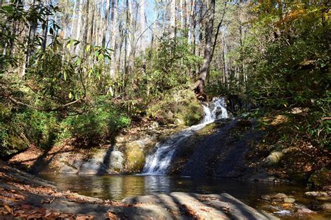 Mortimer Campground North Carolina: Camping Reservations & Amenities