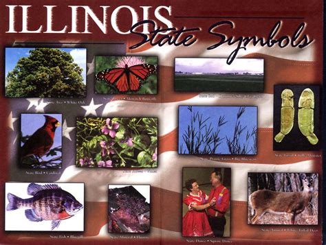 The Caucus Blog of the Illinois House Republicans: Square dancing and snacking on popcorn