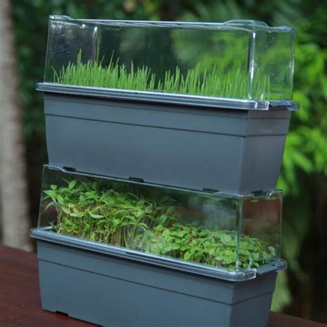 Sprouta Microgreen Pot & Tray (Food Grade Plastic) – Hug A Plant