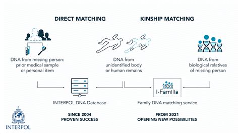 DNA Database 的图像结果