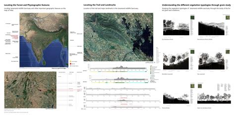 A Forest of intertwined Emotions. | CEPT - Portfolio