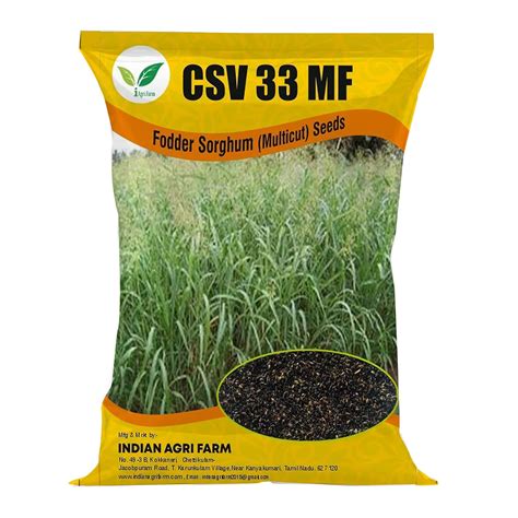 Iagrifarm CSV 33 MF Fodder Sorghum Seed - 1 Kg - MultiCut for Fodder ...
