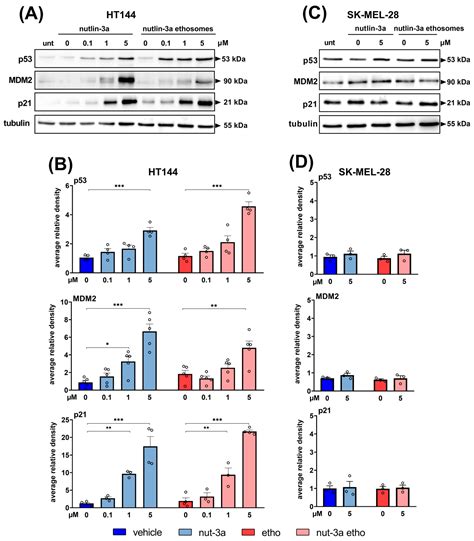 Enhanced Anti-Melanoma Activity of Nutlin-3a Delivered via Ethosomes ...