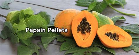 Papain Pellets - Stellar Formulations