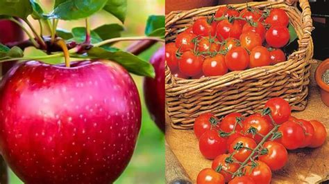 Add colours to your plate: 7 red fruits for better heart and health