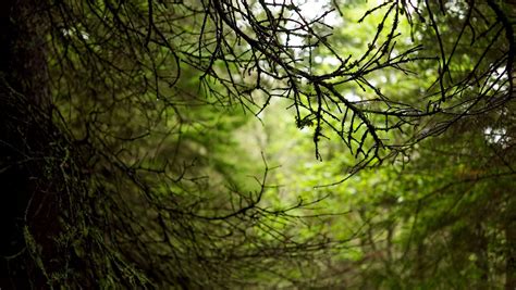 Eastern Frontier Educational Foundation