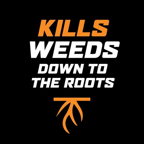 32 oz Ortho WeedClear Lawn Weed Killer for Northern India | Ubuy