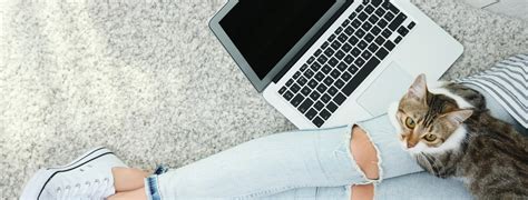 Homepage | Swan Creek Veterinary Clinic